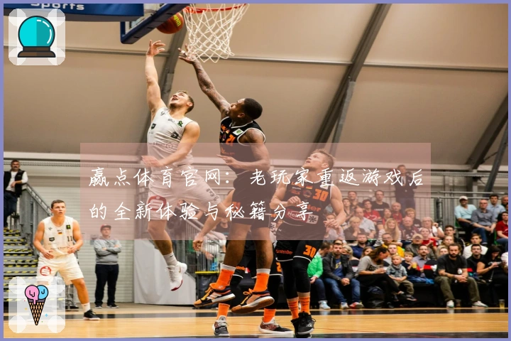 赢点体育官网：老玩家重返游戏后的全新体验与秘籍分享